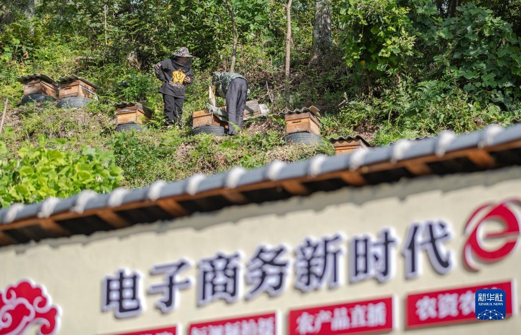 彩金优惠平台